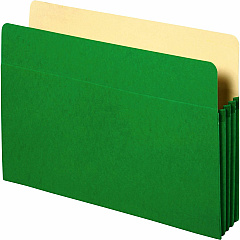 Business Source Letter Recycled File Pocket 8 1/2" x 11" - 3 1/2" Expansion - Green - Tyvek Gusset, Durable, Reinforced Gusset - 10% Recycled - 1 Each (BSN26551) Business Source Letter Recycled File Pocket 8 1/2" x 11" - 3 1/2" Expansion - Green - Tyvek Gusset, Durable, Reinforced Gusset - 10% Recycled - 1 Each (BSN26551)
