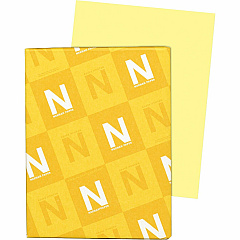 Neenah 82331 Exact Vellum Bristol Cover Stock Neenah 82331 Exact Vellum Bristol Cover Stock