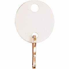 Sparco Oval Key Tags 0.75" Length x 1.10" Width - Oval - Hook Fastener - Plastic - White - 20 / Pack (02886) Sparco Oval Key Tags 0.75" Length x 1.10" Width - Oval - Hook Fastener - Plastic - White - 20 / Pack (02886)