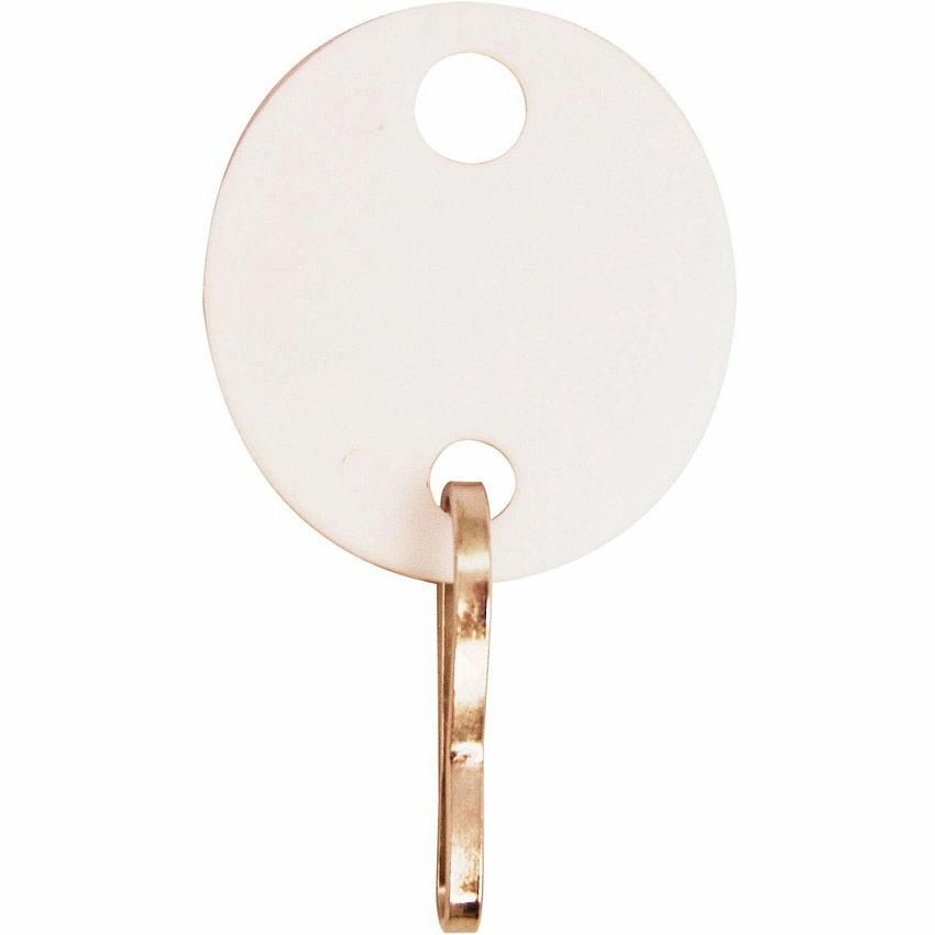 Sparco Oval Key Tags 0.75" Length x 1.10" Width - Oval - Hook Fastener - Plastic - White - 20 / Pack (02886)