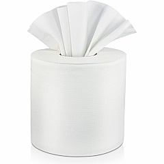 Solaris Paper Livi Center-Pull Towels 2 Ply - 7" Width x 10.90" Length - 605 Sheets/Roll - 2 63/64" Core - White - Paper, Fiber - 6 Rolls Per Case - 1 Carton (45784)
