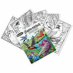 Crayola Bird Watching Coloring Book Printed Book 40 Pages - Book - 1 Each (041133)