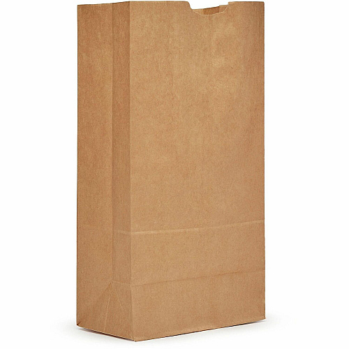 AJM #20 Tall Extra Heavy-Duty Kraft Paper Grocery Bags #20 - Natural Kraft - Paper - Grocery - 500 / Carton (GBN120G5CEHT)
