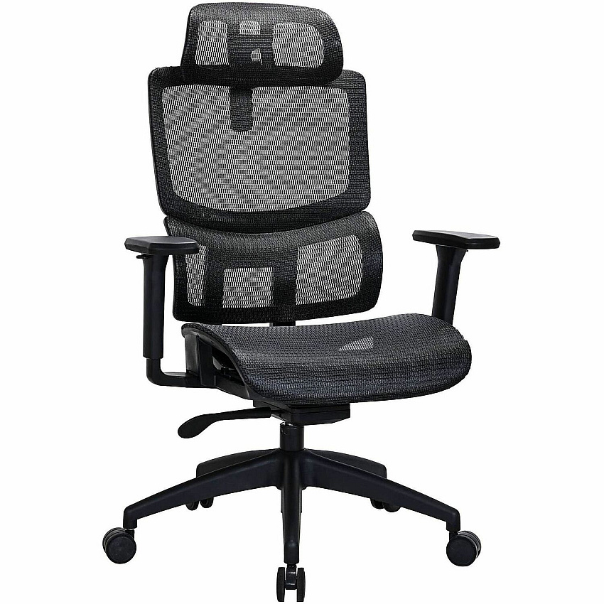 Lorell Ripley All-Mesh High-Back Chair with Articulating Lumbar Support Mesh Back Material - High Back - Black - Mesh - 1 Each (LLR63200)