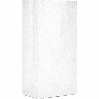 AJM #4 White Paper Grocery Bags #4 - Bleached Kraft - Paper - Grocery, Supplies - Recycled - 500 / Carton (WB04NP5CES)