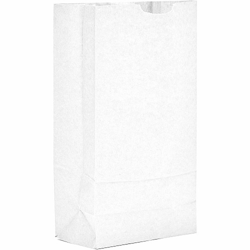AJM #10 White Paper Grocery Bags #10 - Bleached Kraft - Paper - Grocery, Supplies - 500 / Carton (WB10NP5CES)