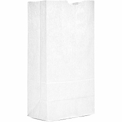AJM #16 White Paper Grocery Bags #16 - Bleached Kraft - Paper - Grocery, Supplies - 500 / Carton (WB16NP5CES)