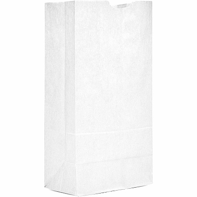 AJM #16 White Paper Grocery Bags #16 - Bleached Kraft - Paper - Grocery, Supplies - 500 / Carton (WB16NP5CES)