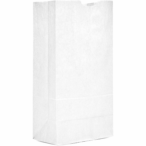 AJM #16 White Paper Grocery Bags #16 - Bleached Kraft - Paper - Grocery, Supplies - 500 / Carton (WB16NP5CES)