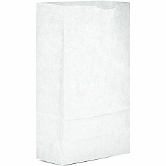 AJM #6 White Paper Grocery Bags #6 - Bleached Kraft - Paper - Grocery, Supplies - Recycled - 500 / Carton (WB06NP5CES)