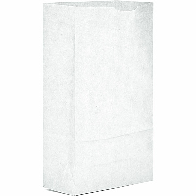 AJM #6 White Paper Grocery Bags #6 - Bleached Kraft - Paper - Grocery, Supplies - Recycled - 500 / Carton (WB06NP5CES)
