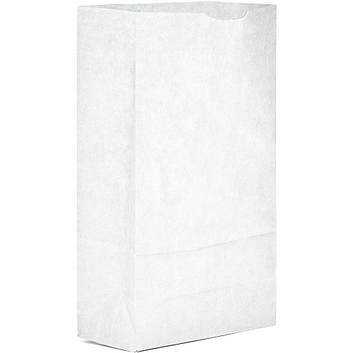 AJM #6 White Paper Grocery Bags #6 - Bleached Kraft - Paper - Grocery, Supplies - Recycled - 500 / Carton (WB06NP5CES)