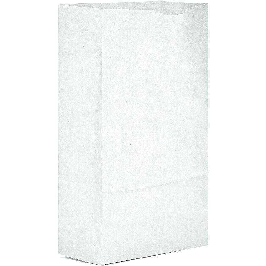 AJM #6 White Paper Grocery Bags #6 - Bleached Kraft - Paper - Grocery, Supplies - Recycled - 500 / Carton (WB06NP5CES)