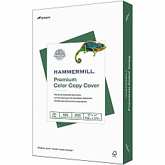 Hammermill Premuim Color Copy Cover Paper 100 Brightness - Ledger/Tabloid - 17" x 11" - 80 lb Basis Weight - Ultra Smooth - Durable, Jam-free, Acid-free - White - 250 Sheets per Ream - 4 / Carton (120037CT)