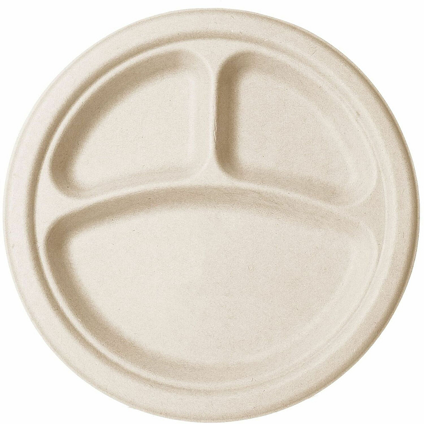Vegware Sugarcane Plate Food - 10" Diameter - Natural - Sugarcane, Molded Fiber Body - 500 / Carton (VWP007NFA)