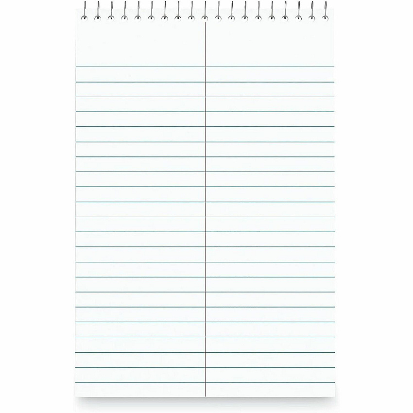Business Source Green Tint Steno Notebook 1 Subject(s) - Spiral - Gregg Ruled Red Margin - 16 lb Basis Weight - 6" x 9" Sheet Size - White Paper - Red Cover - Unperforated, Unpunched, Sturdy Back, Rip Resistant, Tear Resistant - 6 / Pack (BSN96920)