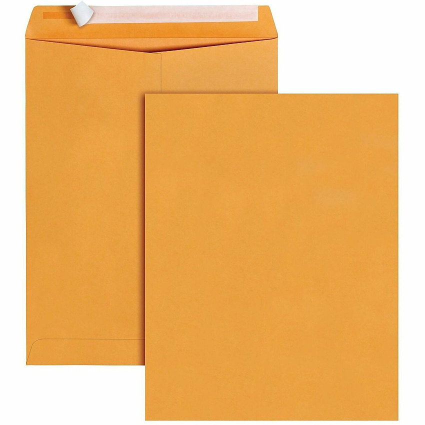 Business Source Kraft Peel-and-Stick Catalog Envelopes Catalog - 10" Width x 13" Length - Peel & Stick - Brown - Kraft Paper - 100 / Box (BSN40099)