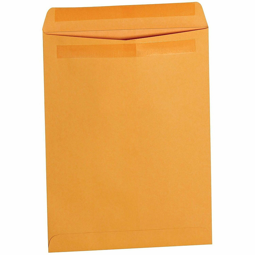 Business Source Self-Seal Catalog Envelopes Catalog - #28 - 9" Width x 12" Length - Self-adhesive Seal - Kraft - Kraft Paper - 250 / Box (BSN35290)