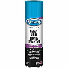 Claire Instant Shine For Multipurpose, Car, Plastic, Vinyl - 11 oz (0.69 lb) - Quick Drying, Grease Resistant, Residue-free - Clear - 12 / Carton (SPRA57576)