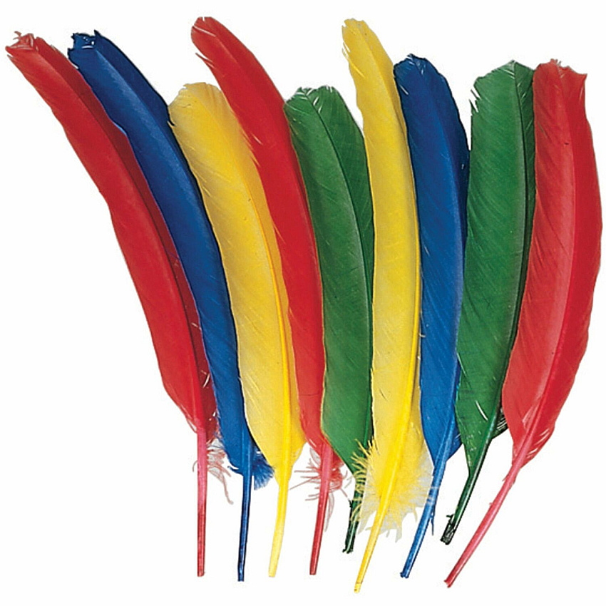 Creativity Street Quill Feathers Multipurpose - 24 Piece(s) - Multicolor - 24 / Pack (4503)