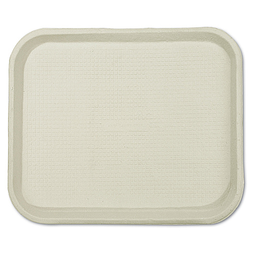 Chinet Savaday Molded Fiber Food Trays, 1-Compartment, 9 x 12 x 1, White, Paper, 250/Carton (20802)