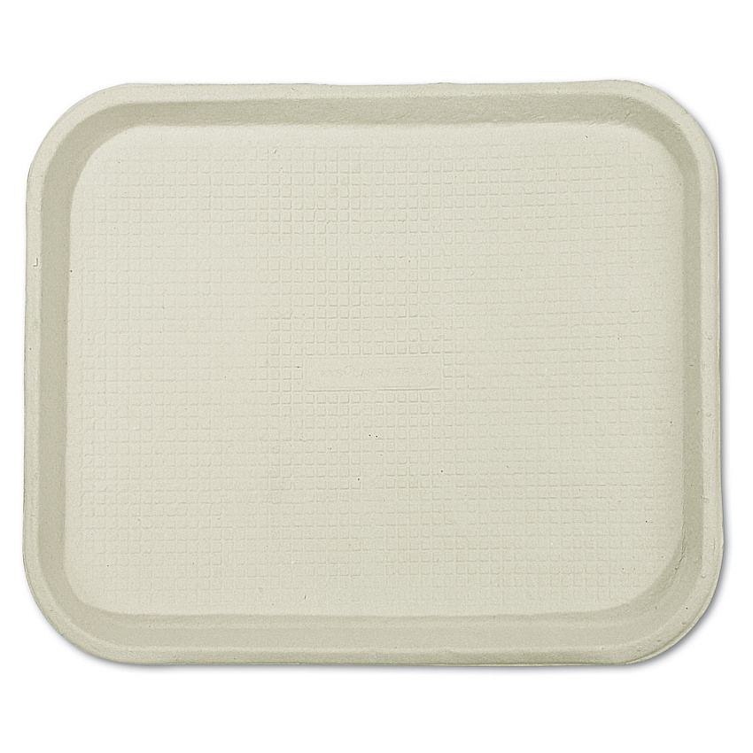 Chinet Savaday Molded Fiber Food Trays, 1-Compartment, 9 x 12 x 1, White, Paper, 250/Carton (20802)