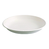 Vanguard Worldview Renewable And Compostable Sugarcane Take-out Containers, 34.1oz, 9 X 9 X 1.25, White, Sugarcane, 400/ct