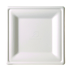 Eco-Products Renewable and Compostable Square Sugarcane Plates, Large, Natural White, 50/Pack, 5 Packs/Carton (EPP023)