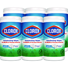 Clorox Disinfecting Wipes, Fresh Scent, 7 x 8, Fresh Scent, White, 75/Canister, 6 Canisters/Carton (01656)