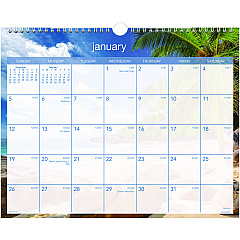 AT-A-GLANCE Tropical Escape Wall Calendar, Tropical Escape Photography, 15 x 12, Pale Blue/Multicolor Sheets, 12-Month (Jan to Dec): 2023 (DMWTE828)