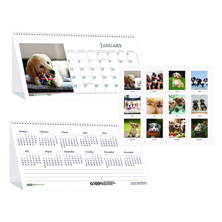House of Doolittle Earthscapes Recycled Desk Tent Monthly Calendar, Puppies Photography, 8.5 x 4.5, White/Multicolor Sheets, 2023 (3659)