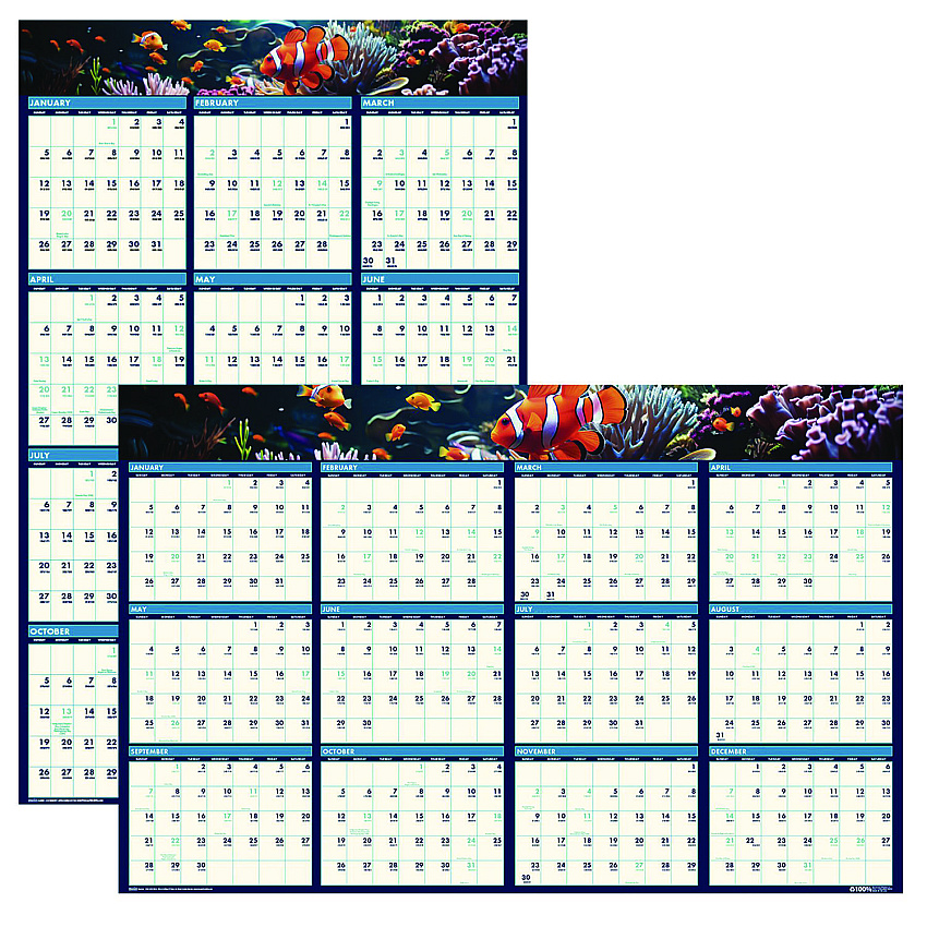 House of Doolittle Earthscapes Recycled Reversible/Erasable Yearly Wall Calendar, Sea Life Photos, 24 x 37, White Sheets, 12-Month(Jan-Dec):2023 (3969)