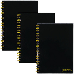PUKKA PAD B5 Size Notebook, 1 -Subject, Medium/College Rule, Black Cover, (80) 9.8 x 6.9 Sheets, 3/Pack (9375CD)