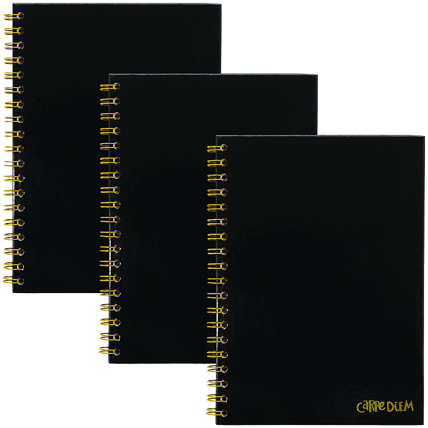 PUKKA PAD B5 Size Notebook, 1 -Subject, Medium/College Rule, Black Cover, (80) 9.8 x 6.9 Sheets, 3/Pack (9375CD)