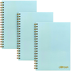 PUKKA PAD B5 Size Notebook, 1 -Subject, Medium/College Rule, Blue Cover, (80) 9.8 x 6.9 Sheets, 3/Pack (9378CD)