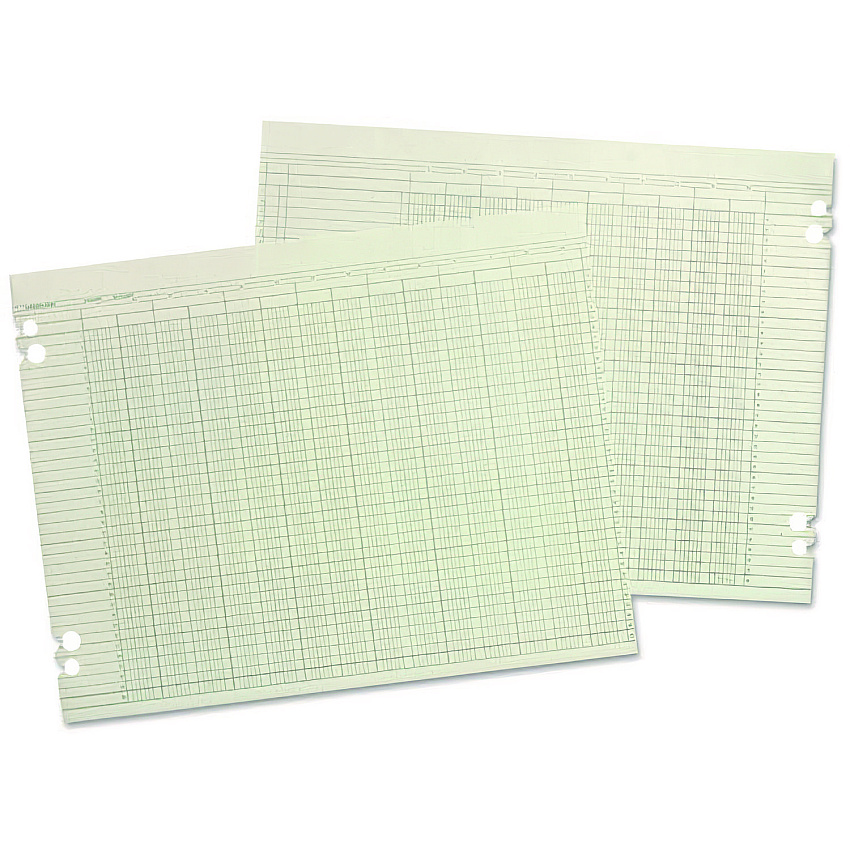 Wilson Jones Accounting Sheets, 6 Columns, 9.25 x 11.88, Green, Loose Sheet,100/Pack (G106)
