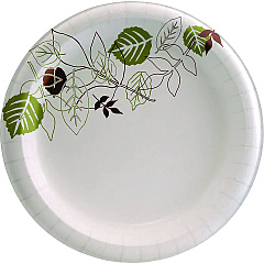 Dixie Pathways Soak-Proof Shield Mediumweight Paper Plates, Dispenser Box, 8.5" dia, Green/Burgundy, 300/Pack (UX9PATHPBBX)
