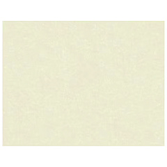 Great Papers! Faux-Parchment Certificates, 8.5 x 11, Ivory, 50 Sheets (2014030)