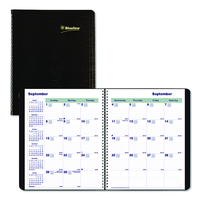 Blueline Plan and Link Monthly Planner, 9.25 x 7.25, Black Distressed Faux Leather Cover, 16-Month: Sept 2024 to Dec 2025 (C120081T)