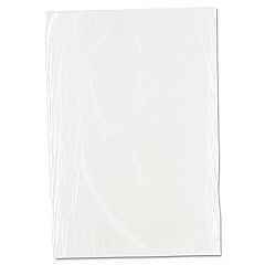 Inteplast Group Food Bags, 0.75 mil, 10" x 14", Clear, 1,000/Carton (PBR1014)