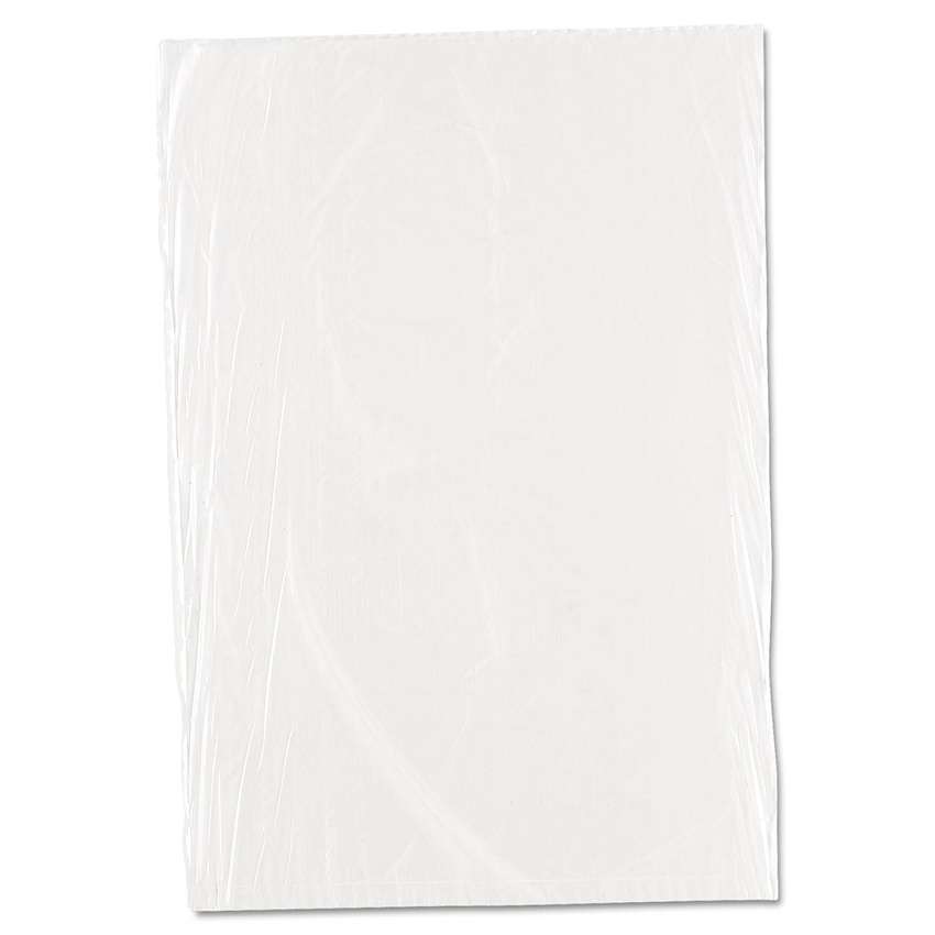 Inteplast Group Food Bags, 0.75 mil, 10" x 14", Clear, 1,000/Carton (PBR1014)