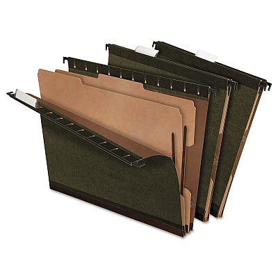 Pendaflex SureHook Reinforced Hanging Divider Folders, 2 Dividers, Letter Size, Green, 10/Box (59254)