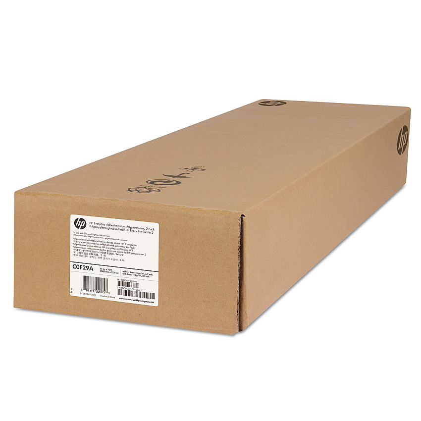 HP C0F29A Everyday Adhesive Gloss Polypropylene 2-Pack