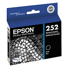 Epson T252120 Black Ink Cartridge