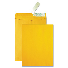 Quality Park High Bulk Redi-Strip Catalog Envelope, #10 1/2, Cheese Blade Flap, Redi-Strip Closure, 9 x 12, Brown Kraft, 250/Carton (41420)