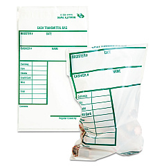 Quality Park Cash Transmittal Bags, Printed Info Block, 6 x 9, Clear, 100/Pack (45220)