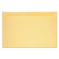 Quality Park Paper File Jackets, A5, Buff, 500/Box (63872)