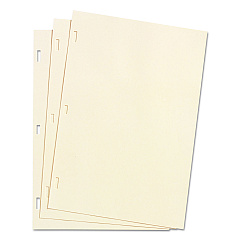 Wilson Jones Looseleaf Minute Book Ledger Sheets, 14 x 8.5, Ivory, Loose Sheet 100/Box (90130)