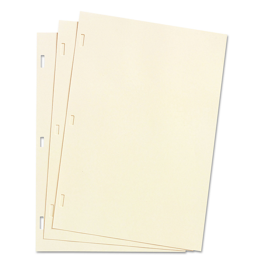 Wilson Jones Looseleaf Minute Book Ledger Sheets, 14 x 8.5, Ivory, Loose Sheet 100/Box (90130)