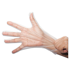 SemperGuard FoodSafe Stretch Poly Gloves, Clear, Large, Polyethylene, 2000/Ctn (HPEF204)